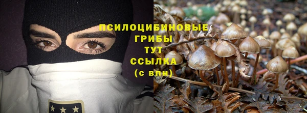 бошки Александровское