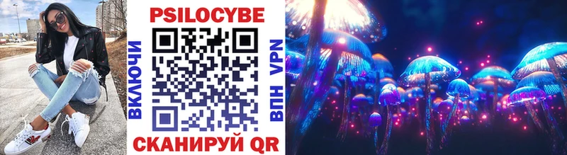 Галлюциногенные грибы Psilocybe  Купить  Барыш 