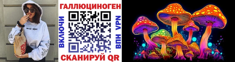 Псилоцибиновые грибы Cubensis Барыш